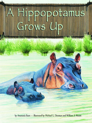 cover image of A Hippopotamus Grows Up